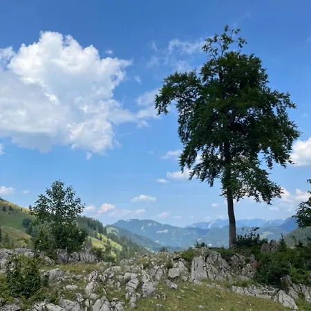 Anderswo Bad Aibling