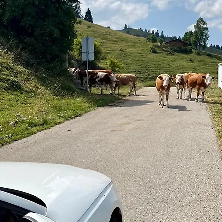 Apartament Anderswo *