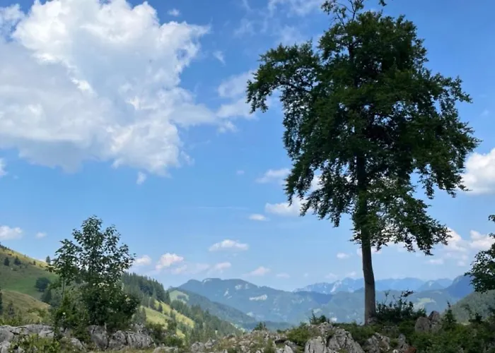 Anderswo 바트아이블링