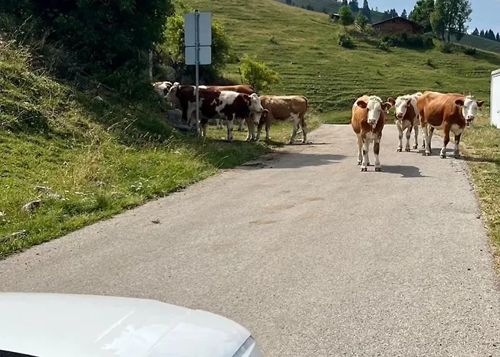 아파트 Anderswo *